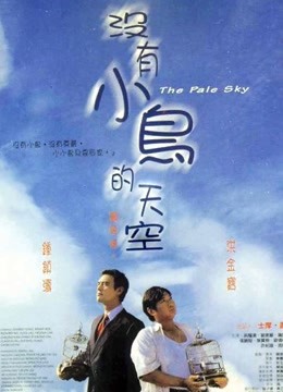 没有小鸟的天空 海报 高清在线观看