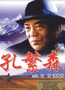孔繁森 海报 高清在线观看