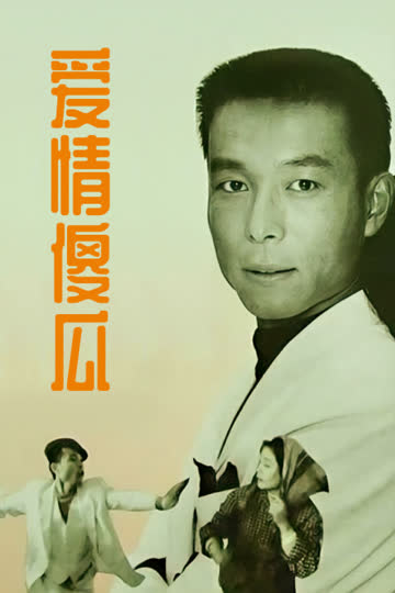 爱情傻瓜 海报 高清在线观看