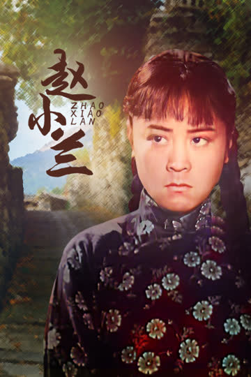 赵小兰 海报 高清在线观看