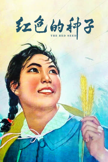 红色的种子 海报 高清在线观看