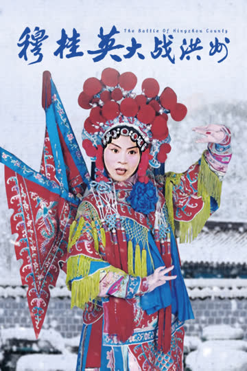 穆桂英大战洪州 海报 高清在线观看