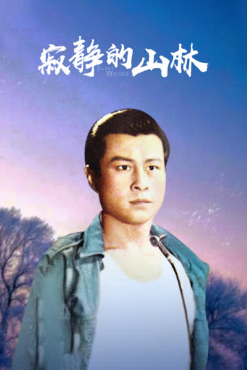 寂静的山林 海报 高清在线观看