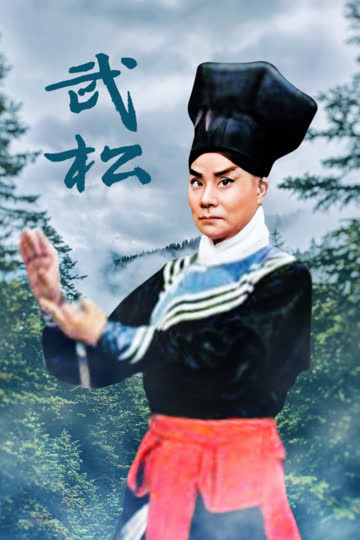 武松 海报 高清在线观看