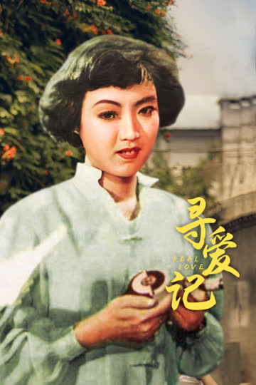 寻爱记 海报 高清在线观看