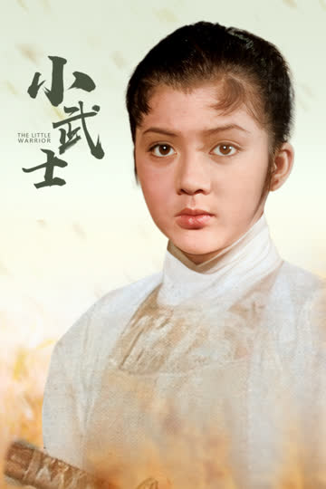 小武士 海报 高清在线观看