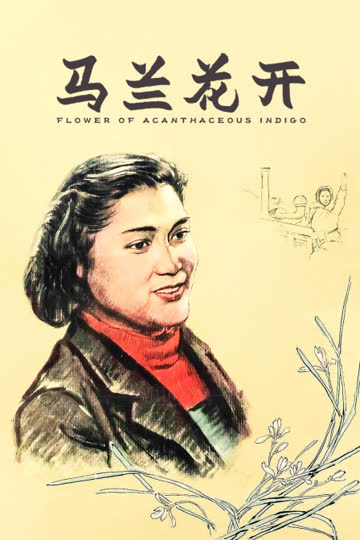 马兰花开 海报 高清在线观看