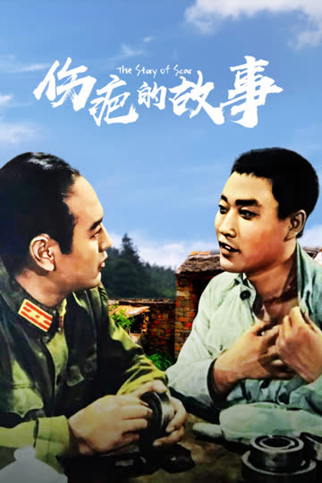 伤疤的故事 海报 高清在线观看