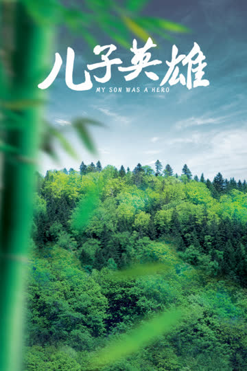 儿子英雄 海报 高清在线观看