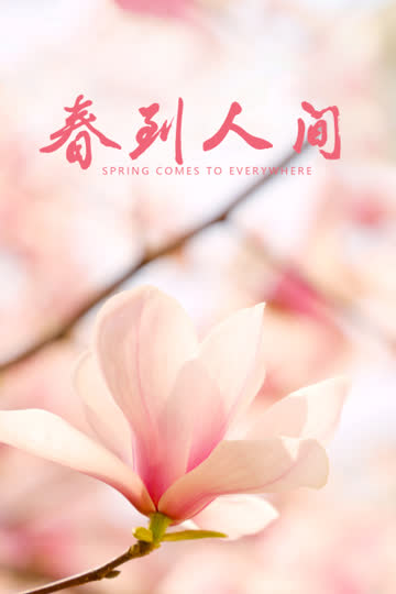 春到人间 海报 高清在线观看