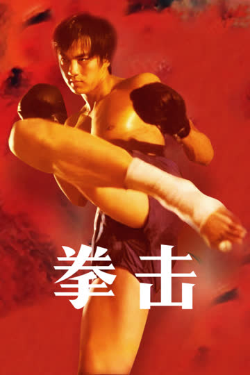 拳击 海报 高清在线观看