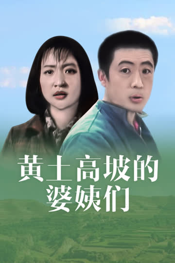 黄土坡的婆姨们 海报 高清在线观看