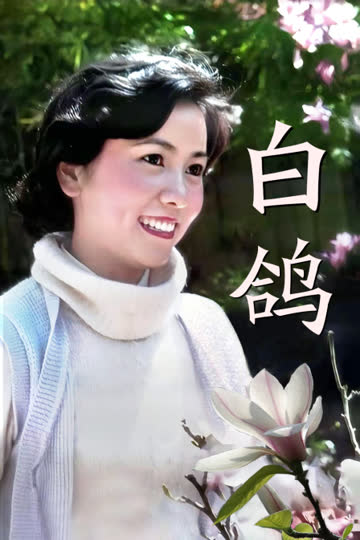 白鸽 海报 高清在线观看