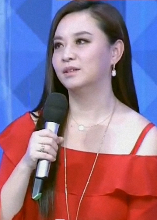 陈辰全明星 海报 高清在线观看
