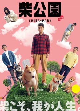 柴犬公园 海报 高清在线观看