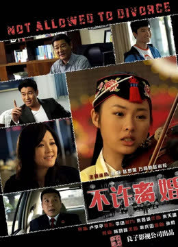 不许离婚 海报 高清在线观看