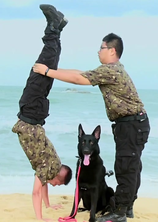 上阵父子兵 海报 高清在线观看