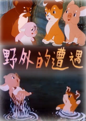 野外的遭遇 海报 高清在线观看