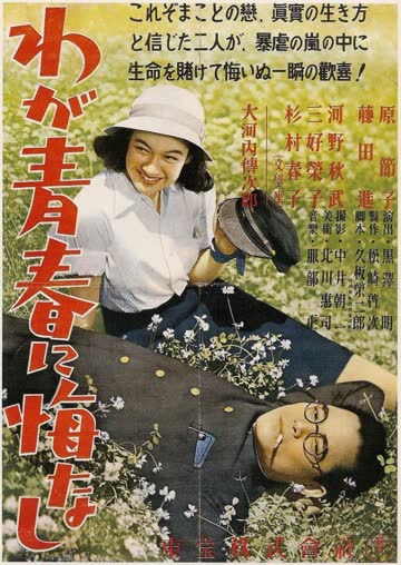 我对青春无悔 海报 高清在线观看