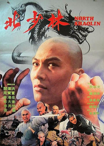 北少林南跆拳 海报 高清在线观看