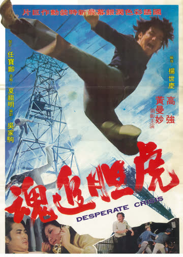 虎胆追魂 海报 高清在线观看