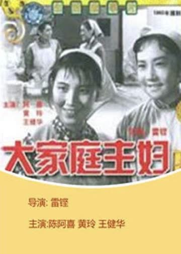 大家庭主妇 海报 高清在线观看