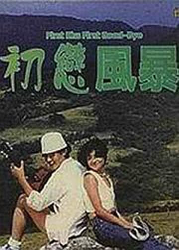 初恋风暴 海报 高清在线观看
