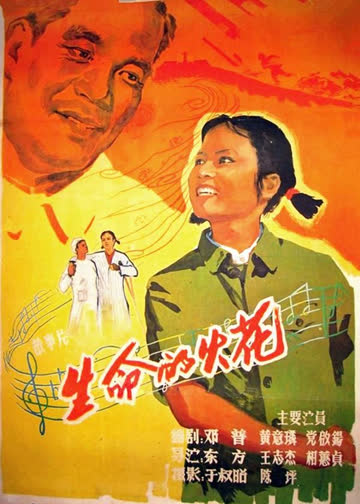 生命的火花 海报 高清在线观看