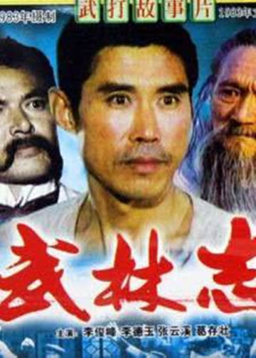 武林志 海报 高清在线观看