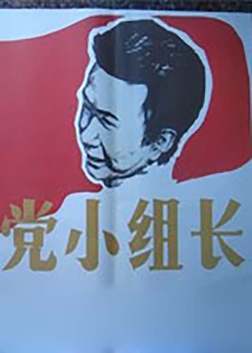 党小组长 海报 高清在线观看