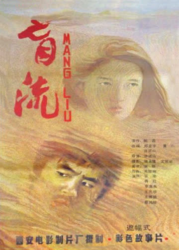 盲流 海报 高清在线观看