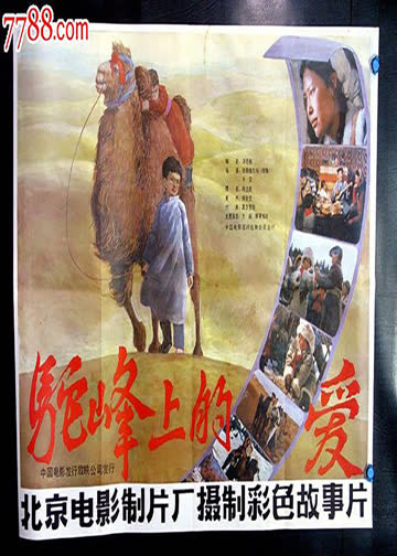 驼峰上的爱 海报 高清在线观看