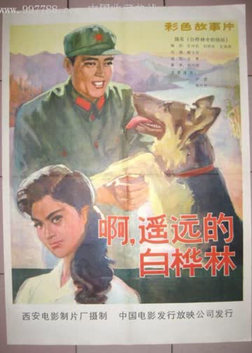 白桦林中的哨所 海报 高清在线观看