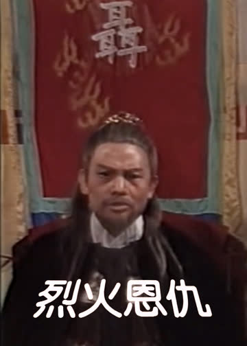 烈火恩仇 海报 高清在线观看