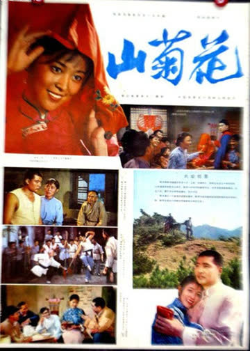 山菊花 海报 高清在线观看