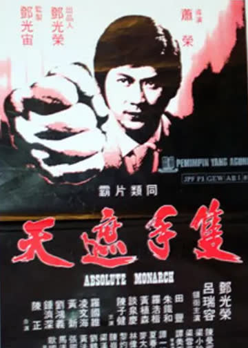 只手遮天 海报 高清在线观看