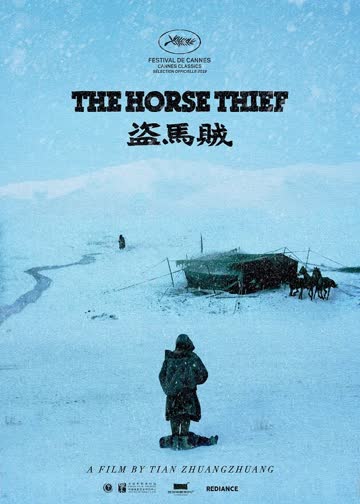 盗马贼 海报 高清在线观看