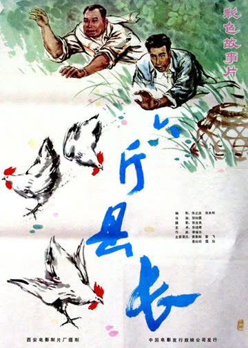 六斤县长 海报 高清在线观看