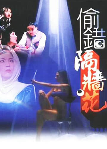 偷错隔墙花 海报 高清在线观看