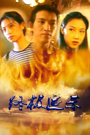 终极追杀 海报 高清在线观看