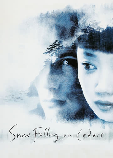 爱在冰雪纷飞时 海报 高清在线观看