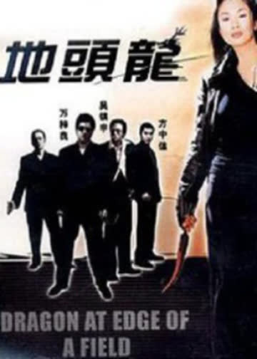 屠龙擒魔 海报 高清在线观看