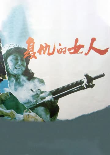 复仇的女人 海报 高清在线观看