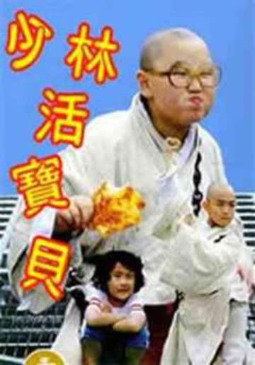 少林活宝贝 海报 高清在线观看