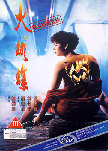 机密档案实录火蝴蝶 海报 高清在线观看