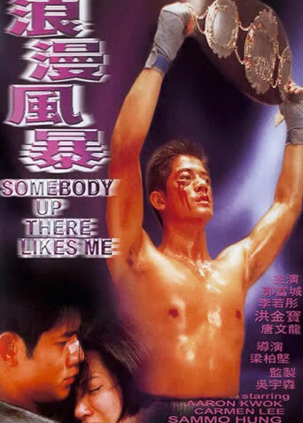 浪漫风暴 海报 高清在线观看