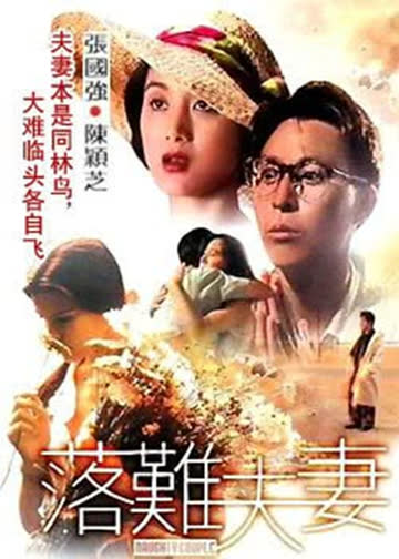 落难夫妻 海报 高清在线观看