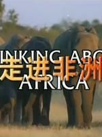 忆起非洲 海报 高清在线观看