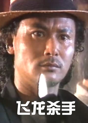 飞龙杀手 海报 高清在线观看