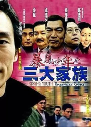 暴风少年之三大家族 海报 高清在线观看